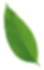 blad icoon