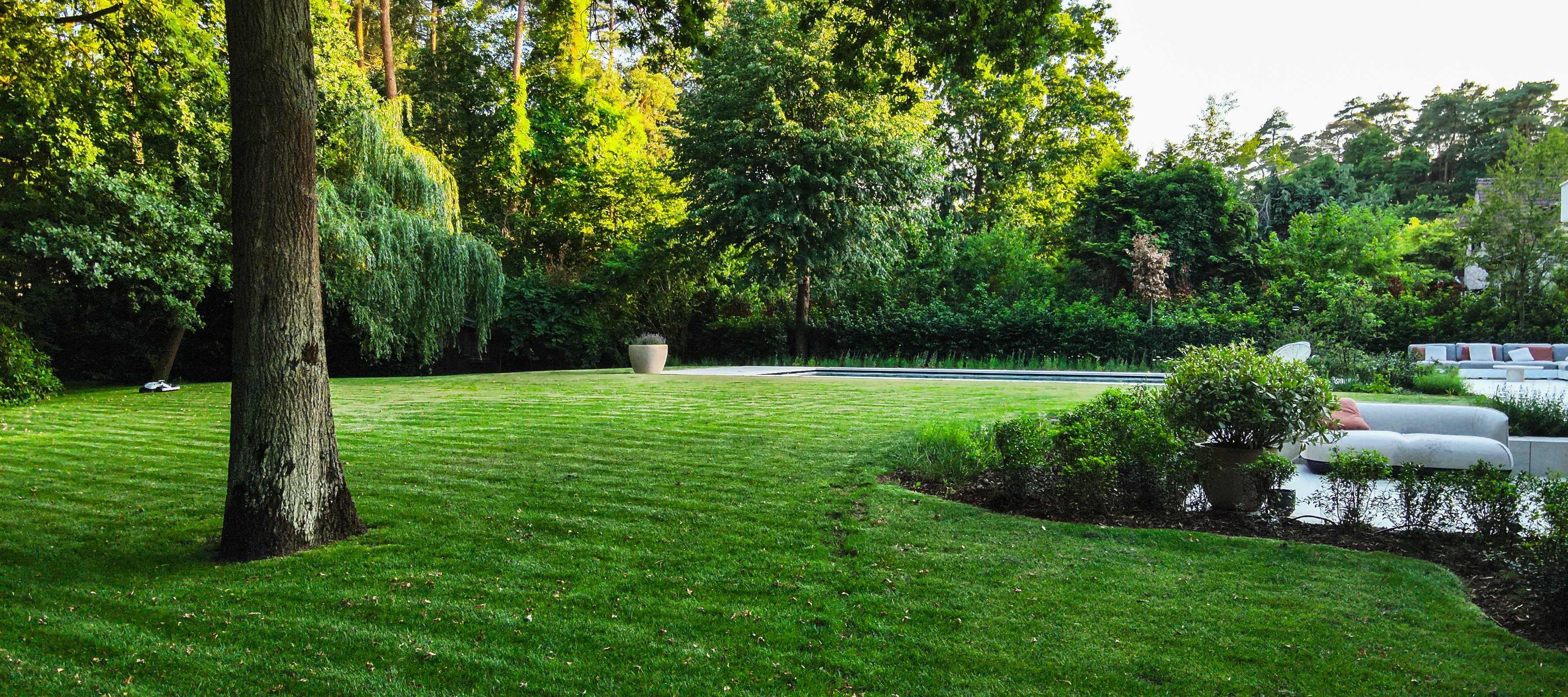 grote tuin met robotmaaier zwembad en bosrand