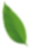 blad icoon
