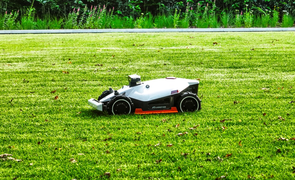 mammotion luba robotmaaier op gazon met groene haag achtergrond